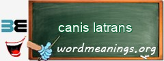 WordMeaning blackboard for canis latrans